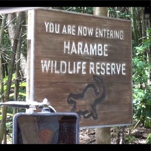 Meet your Posher, Ben